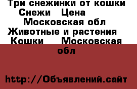 Три снежинки от кошки Снежи › Цена ­ 100 - Московская обл. Животные и растения » Кошки   . Московская обл.